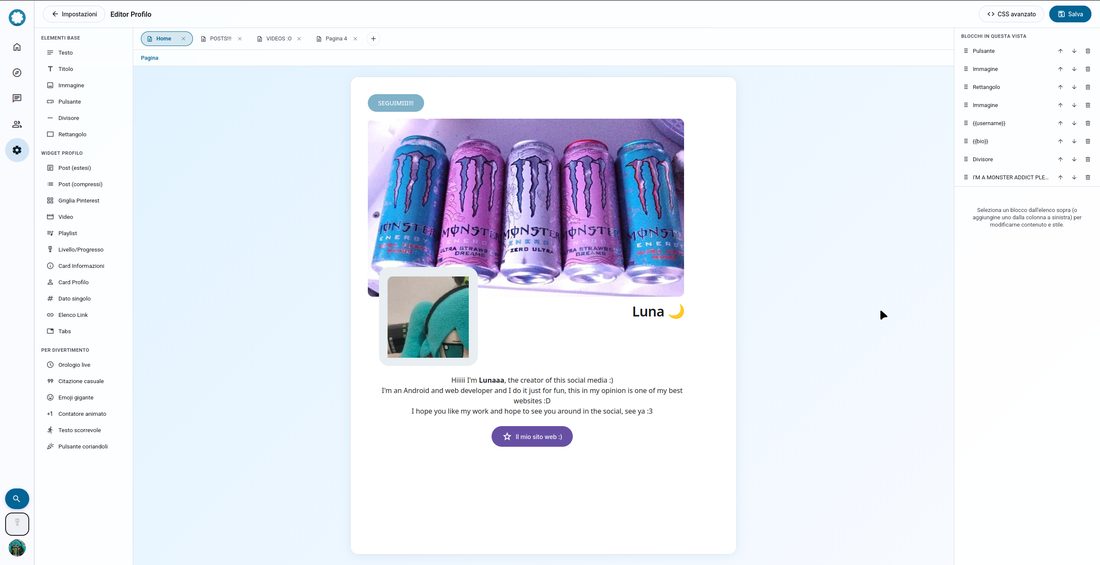 Profile editor